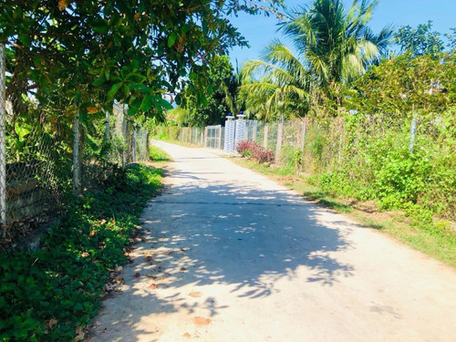 466183614 122174630072145675 6467093237584068809 n.jpg