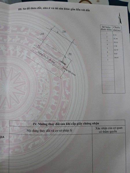 465894471 1209254560184164 4548025487986836550 n.jpg