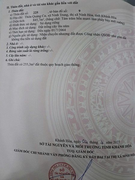 465843471 1209254553517498 4397416858304146809 n.jpg