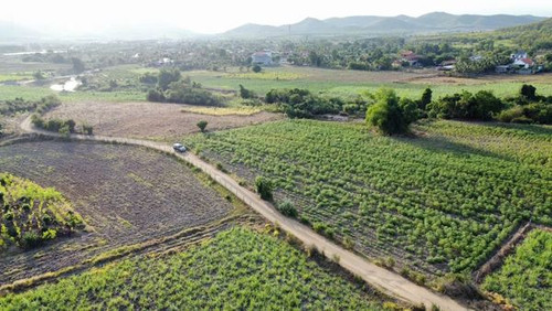 465737421 2913136608863926 1018598008294801768 n.jpg