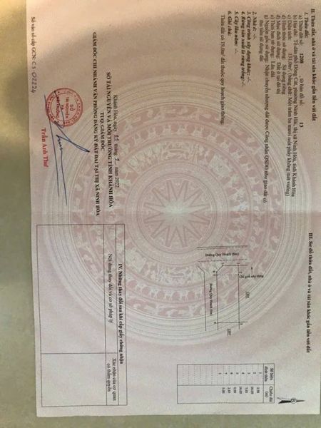 466562656 3796591317322486 483319315000571106 n.jpg