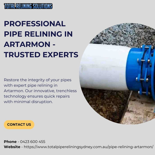 Professional Pipe Relining in Artarmon Trusted Experts.jpg