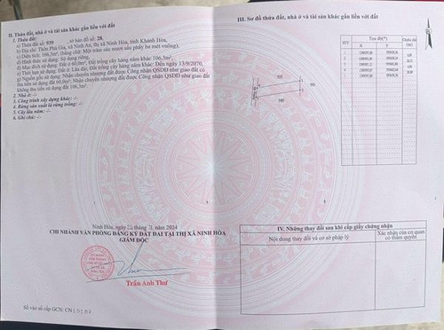 465909889 1257181352270637 1819090793174548065 n.jpg