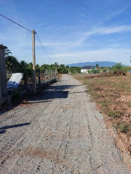 466006784 1257181342270638 7316122449760854858 n.jpg