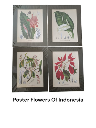 WhatsApp Image 2024 11 07 at 11.02.11.jpg