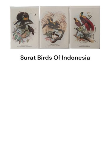 WhatsApp Image 2024 11 07 at 11.02.12 (3).jpg