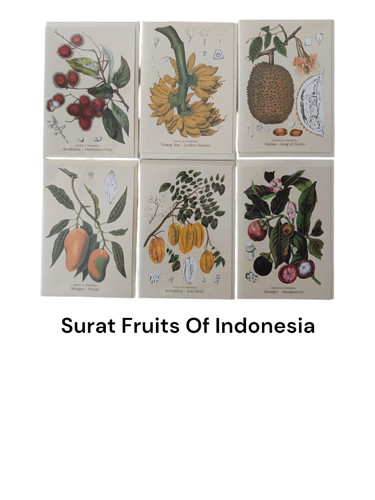 WhatsApp Image 2024 11 07 at 11.02.13.jpg