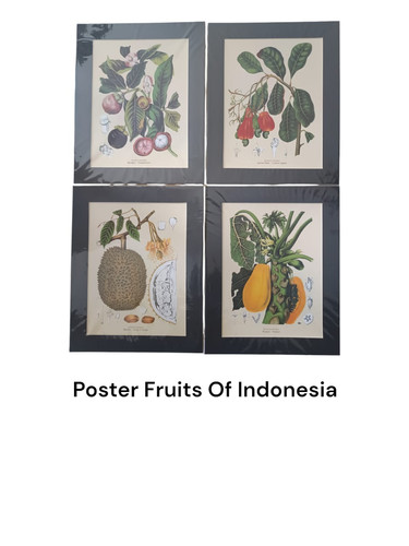 WhatsApp Image 2024 11 07 at 11.02.10 (2).jpg