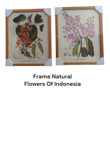 WhatsApp Image 2024 11 07 at 11.02.09 (2).jpg