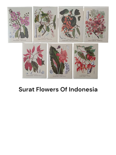 WhatsApp Image 2024 11 07 at 11.02.12 (2).jpg