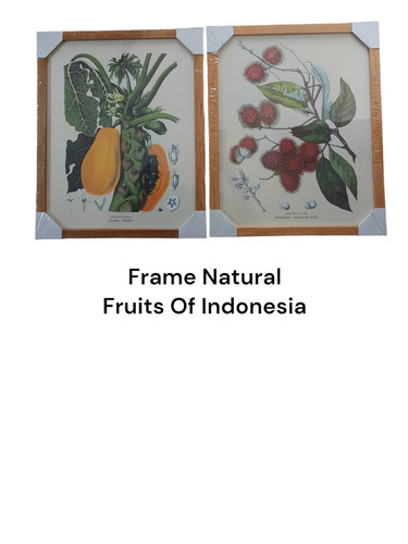 WhatsApp Image 2024 11 07 at 11.02.09.jpg