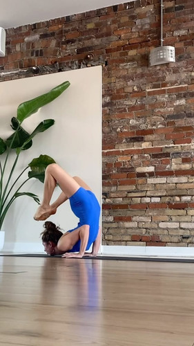 445556537 1116119652976456 6254033328040172011 n