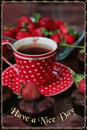IMG 3045.gif