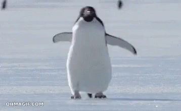 IMG 3049.gif