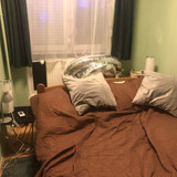 IMG 2817