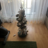 IMG 2760