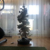 IMG 2765