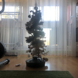 IMG 2763