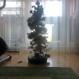IMG 2764