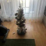 IMG 2762