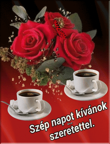 IMG 2916.gif