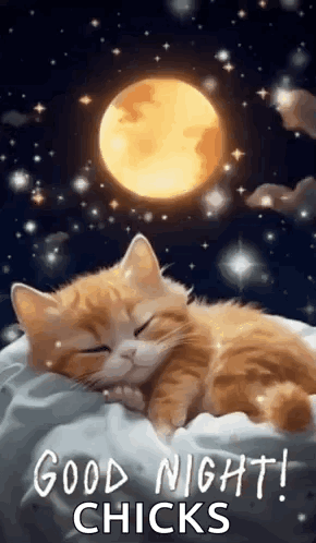 IMG 2904.gif
