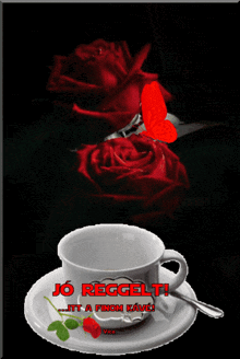 IMG 2947.gif