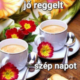 IMG 2924