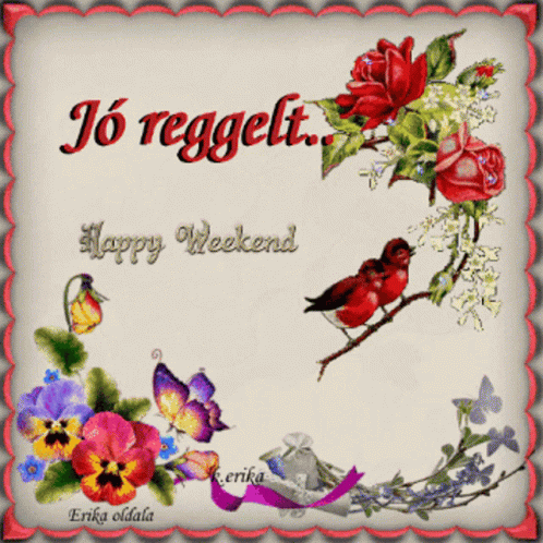 IMG 2857.gif