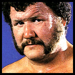 Harley Race 83.jpg