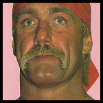 Hulk Hogan4.jpg
