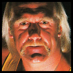 Hulk Hogan14.jpg