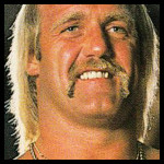 Hulk Hogan30.jpg