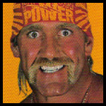 Hulk Hogan9.jpg
