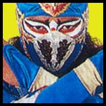 Hayabusa 5.jpg