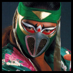 Hayabusa 95.jpg