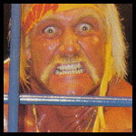 Hulk Hogan90.jpg