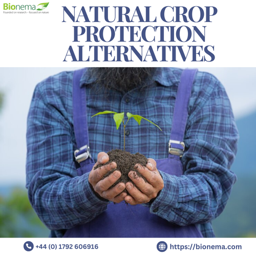 Natural Crop Protection Alternatives: Eco-Friendly Solutions for Healthy.png