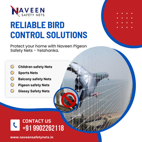 Get expert pigeon net installation in Yelahanka today!.png