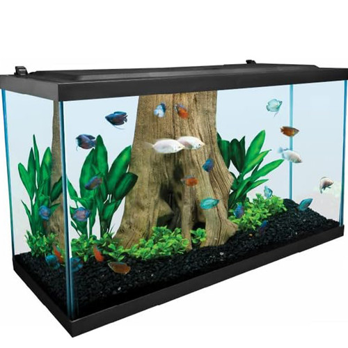 518SaEInsZL. AC .jpg