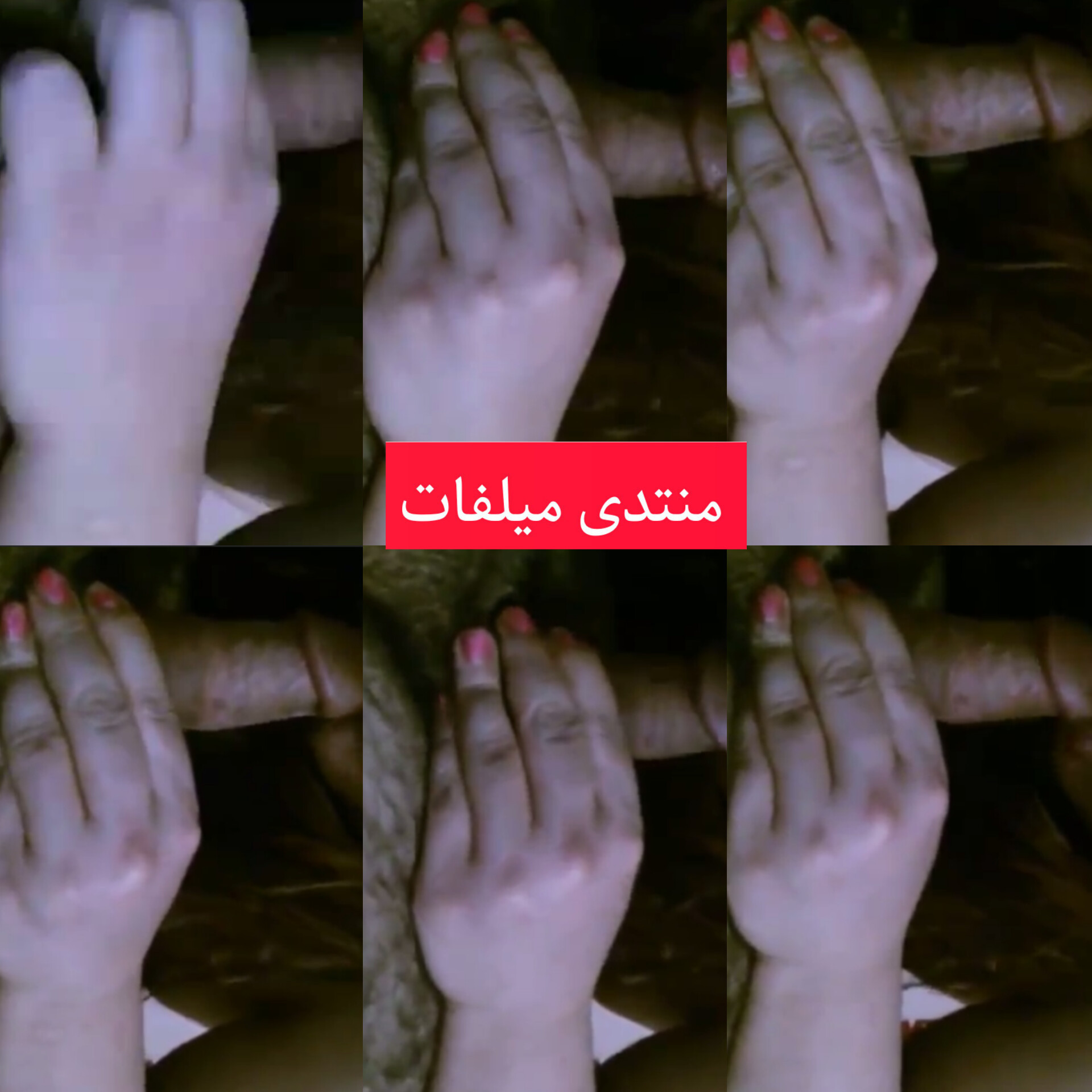 عيل زانق خطيبته اللبوة تمصمص زبره و تاكلها اكل