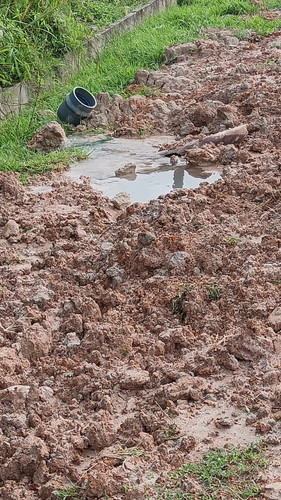 WhatsApp Image 2025 01 06 at 8.53.44 AM.jpg