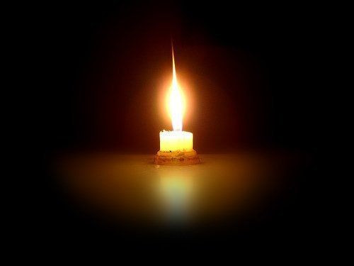 472789805 947603454145911 1024068773556319754 n.jpg? nc cat=111&ccb=1 7& nc sid=833d8c& nc ohc=I39kM.jpg