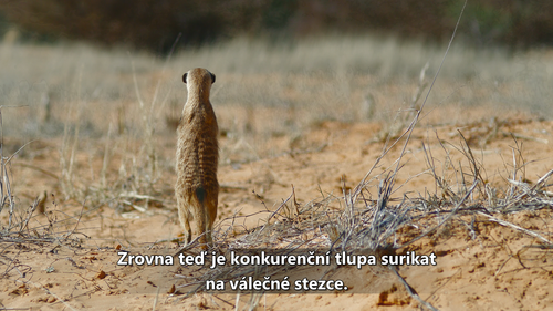 Snímka obrazovky 2025 01 05 144401.png