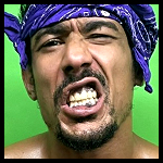 AR Fox alt4.jpg