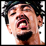 AR Fox alt3.jpg