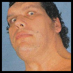 Andre the Giant22.jpg
