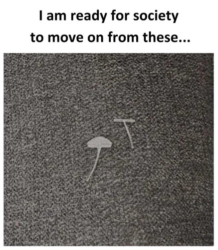 472544981 1000155555471343 7520122454021494640 n.jpg