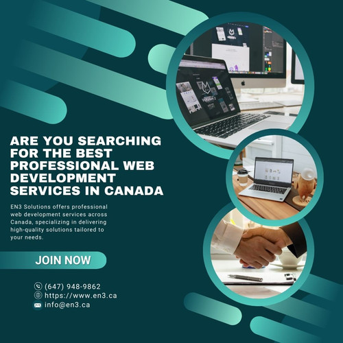 Are You Searching For The Best Professional Web Development Services In Canada.jpg