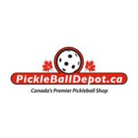 Best pickleball balls for outdoor courts.jpg